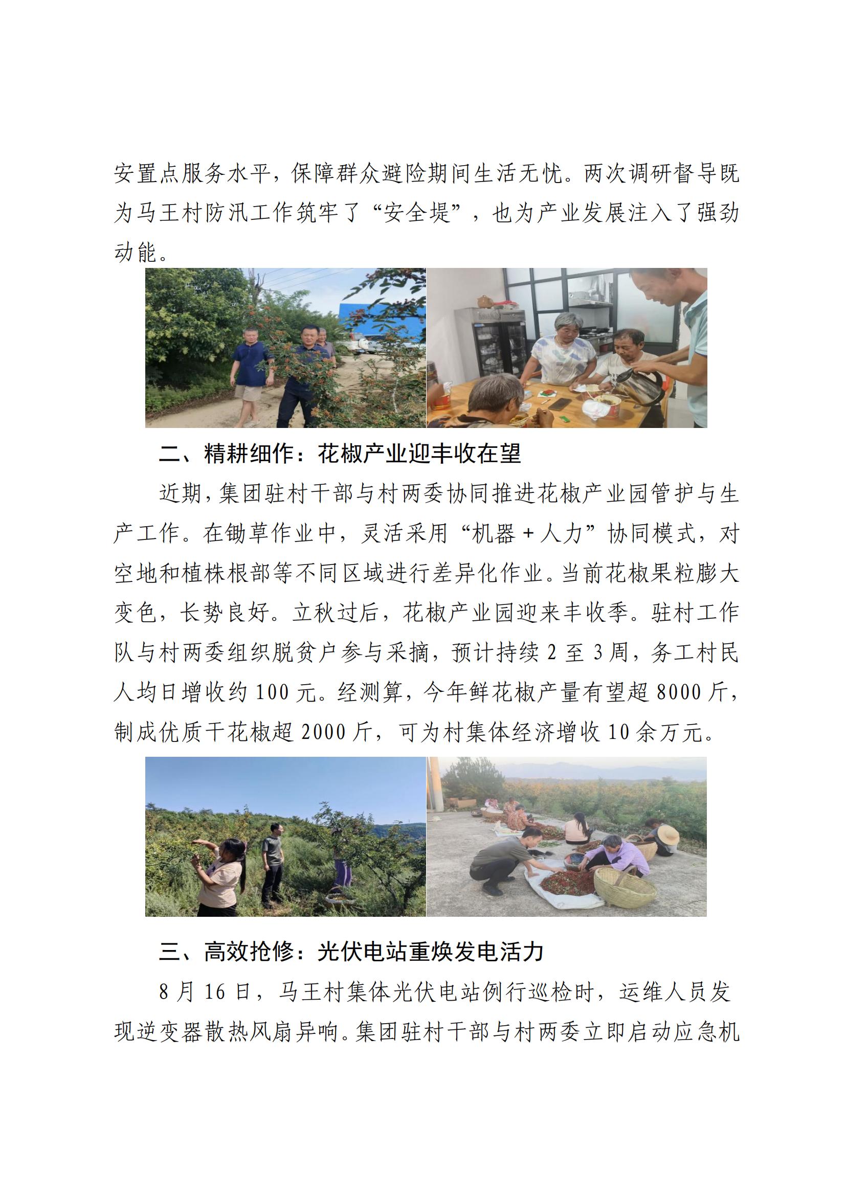 皇家国际集团村落振兴工作动态（2025.8）_02.jpg