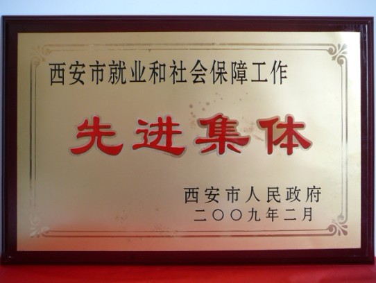 2009年2月，被西安市当驹炖为西安市就业和社会保险工作先进集体